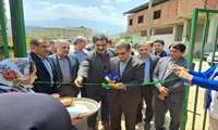 شرق مازندران با تولید محصولات ارگانیک پایلوت گردشگری کشاورزی است