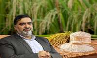 عدم ثبت ذخایر برنج در سامانه انبارها، عرضه خارج از شبکه تلقی می‌شود