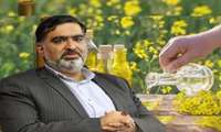  افزایش ۶۰ درصدی سطح زیر کشت و خرید کلزا در مازندران