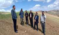 بازدید میدانی کارشناسان ارزیاب بیمه بانک کشاورزی استان و شهرستان از مزارع گندم دیم  