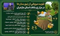 توسعه زنبورداری فرصتی برای افزایش بهره‌وری و تقویت امنیت غذایی کشور