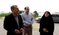 بازدید میدانی با حضور فرماندار بهشهر از روند پیشرفت مجموعه گردشگری برکه شمال