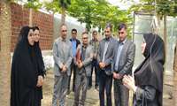 الگوی موفق کشاورزی نوین در بابل/ گلخانه پاپایا میزبان مدیران جهاد کشاورزی شد