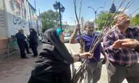توزیع نهال توت اصلاح شده در سوادکوه شمالی با هدف توسعه نوغانداری در نماز جمعه شهرستان