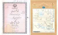 نقل و انتقال ۳۲۸ سند اراضی کشاورزی در قائم‌شهر