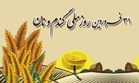 به مناسبت روز ملی گندم و نان/تقویت تولید گندم، تضمین‌کننده امنیت غذایی در مازندران است
