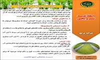 مدیریت بیماری ها در خزانه برنج