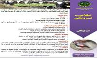 مدیریت بیماری تب برفکی در دام