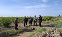 گامی مهم در مسیر مدیریت بهینه آب کشاورزی روستای پلنگ‌آزاد میاندورود