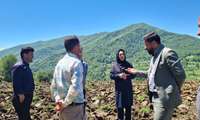آغاز طرح خوداتکایی کشت علوفه در ۵ هزار متر از اراضی سوادکوه