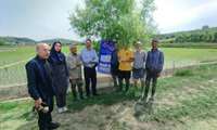 یکشنبه های ترویجی؛ انتقال دانش روز نشاکاری به کشاورزان روستای کوتنا قائم‌شهر