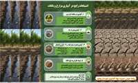 اشتباهات رایج در آبیاری مزارع و باغات