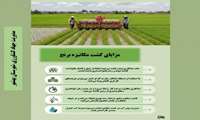 مزایای کشت مکانیزه برنج