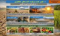 صیانت از آب و خاک بهشهر با اصلاح الگوی کشت
