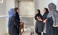 زنان روستایی شهرستان بابلسر پیشگام در تولید حشرات مفید برای کنترل بیولوژیک آفات
