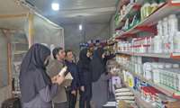 برگزاری اولین روز از مانور سراسری نظارت بر واحدهای عرضه‌ آفت‌کش‌های کشاورزی در شهرستان آمل 