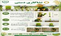    انجام عملیات نشا در مازندران 