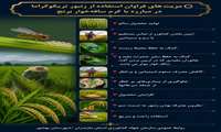 مزیت های استفاده از زنبورتریکوگراما