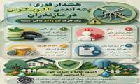 پشه آئدس