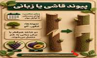پیوند درختان و زمان مناسب هر پیوند