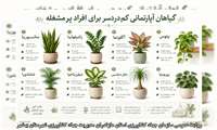 گیاهان آپارتمانی کم دردسر