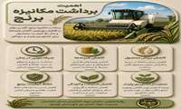 گذار از سنت به صنعت؛ ضرورت توسعه برداشت مکانیزه در شالیزارهای کشور