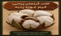 کرم غوزه پنبه شماره3