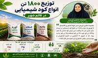 توزیع بیش از یک هزار تن انواع کود شیمیایی در قائم شهر 