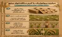 مبارزه بیولوژیک با آفت کرم ساقه‌خوار برنج 