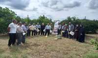 برگزاری دو کارگاه آموزشی ترویجی  مدیریت کنترل آفت مگس میوه مدیترانه‌ای در جویبار