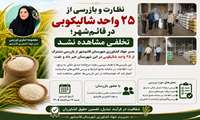 نظارت و بازرسی از ۲۵ واحد شالیکوبی در قائم‌شهر؛ تخلفی مشاهده نشد