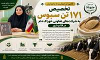 تخصیص ۱۷۱ تن سبوس به شرکت‌های تعاونی خوراک دام در قائم‌شهر؛ گامی در حمایت از دامداران