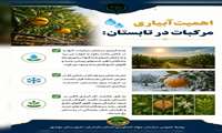 اهمیت آبیاری مرکبات در تابستان