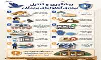 پیشگیری و کنترل بیماری آنفلوانزای پرندگان 