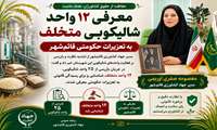 معرفی ۱۲ واحد شالیکوبی متخلف به تعزیرات حکومتی قائم‌شهر