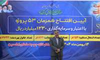 ایران صادرکننده جوجه یک‌روزه به منطقه می‌شود 