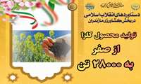  روایت دستاوردهای انقلاب اسلامی در کشاورزی استان مازندران/ تولید کلزا