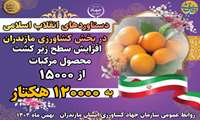  روایت دستاوردهای انقلاب اسلامی در کشاورزی استان مازندران/ تولید مرکبات
