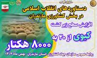  روایت دستاوردهای انقلاب اسلامی در کشاورزی استان مازندران/ تولید کیوی