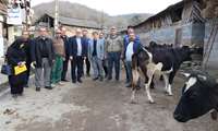 یک دهه، ده گام، ده روستا/ مسیر خدمت در پرتو چلچراغ انقلاب اسلامی