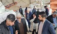 پایش و نظارت بر توزیع نهاده‌های دامی در سوادکوه با حضور بازرسان استانی و شهرستانی