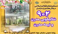  روایت دستاوردهای دولت وفاق ملی در کشاورزی استان مازندران/شالیکوبی