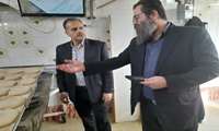 تشدید نظارت بر نانوایی‌های نوع ۶ فریدونکنار با هدف صیانت از کیفیت و ثبات قیمت نان