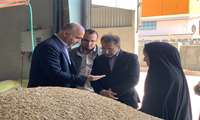 حمایت از تولید و رفع موانع پیش روی صنایع؛ بازدید مشترک فرماندار و مدیر جهاد کشاورزی بهشهر از صنایع تولیدی کشاورزی 