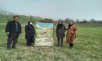 بازدید مسئولان استانی و شهرستانی از طرحهای کشت مخلوط علوفه و حبوبات در سوادکوه