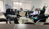 جهش شالیزار نوشهر/ گامی استوار به سوی رونق تولید برنج با همت ناظران و کارشناسان