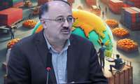 صادرات کیوی مازندران به هند و سایر کشورها دو برابر شد