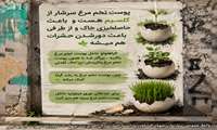 نکات کلیدی حاصلخیزی خاک