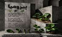 معرفی گیاه پیرومیا