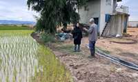 گسترش فعالیت‌های ترویجی در ۷۲ هکتار از اراضی کشاورزی بهشهر؛ اجرای طرح مزرعه الگویی در دهستان میانکاله
